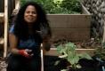 New Product To Grow Your Garden In 30 Minutes
