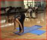 4 Minutes Yoga Set