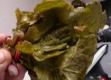Thepla With 4 Mixed Greens