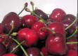 Berries For Good Health - Secrets of Longevity
