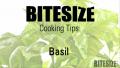 Tips To Use Basil