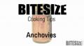 All About Anchovies