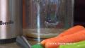 Apple Carrot Celery Juice Mix