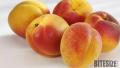 All About Apricot