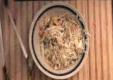 How To Make Asian Salad Dressing