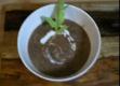 Better Than Panera Black Bean Soup