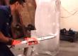 Ice Carving