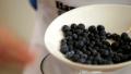 Blueberry Custard Recipe - Harvey Norman Cooking In Style Video
