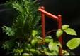 How To Build A Raised Bed Water Garden