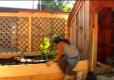 How To Build A Water Garden