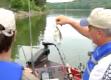 Crappie Fishing Techniques