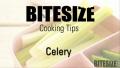 All About Celery