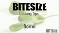 Choosing, Storing And Using Of Sorrel Herb