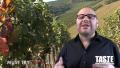 Cline Cellars Wine Reviews