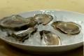 How to Serve Oysters