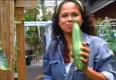 How To Plant Cucumber Vines