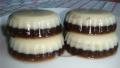 Homemade Coffee Milk Pudding