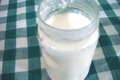 How To Make Home Made Yogurt-srilanka