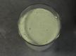 Macha Smoothie Recipe Video