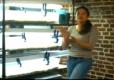 An Overview Of Hydroponic Seed Starter