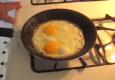 Egg Flipping