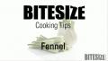 Fennel