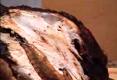 Fried Whole Turkey