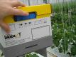 How To Release Bees In Sweet Pepper Greenhouse