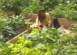 How To Do Gardening With Kids
