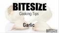 All About Garlic
