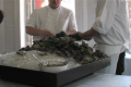 Hog Island Oysters At New Zealand Wine Show Review