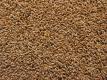 How To Mill Whole Wheat Flour Video