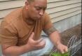 How To Grow And Harvest Spinach