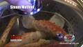 How To Cook Alaskan King Crab 4 Ways