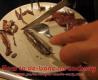 How To De-bone On Anchovy