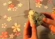 Tips To Unwrap Onigiri