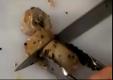 Steak Roulade