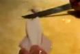 How To Clean A Squid