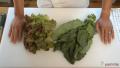 Tips To Cut Leafy Vegetables