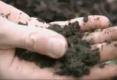 Tips To Test Your Garden Soil