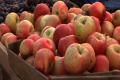How To Buy Eco-Friendly Local Food