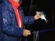 Tips On Hybrid Fishing Under Lights
