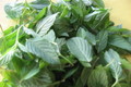 Indian Mint Chutney