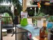About Margarator Party