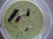 How To Make Coconut Chutney