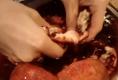 Tutorial On Pomegranates