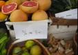 Kauai Farmer'S Market