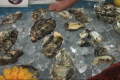 Varieties of Oyster at a New York Food Show