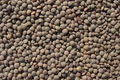 Lentil Hummus