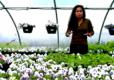 Lohas: Lifestyle Of Health And Sustainability
